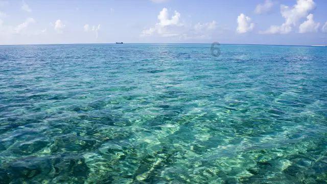 救援深海动物
